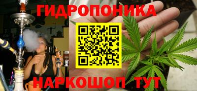 гидропоника Кинель